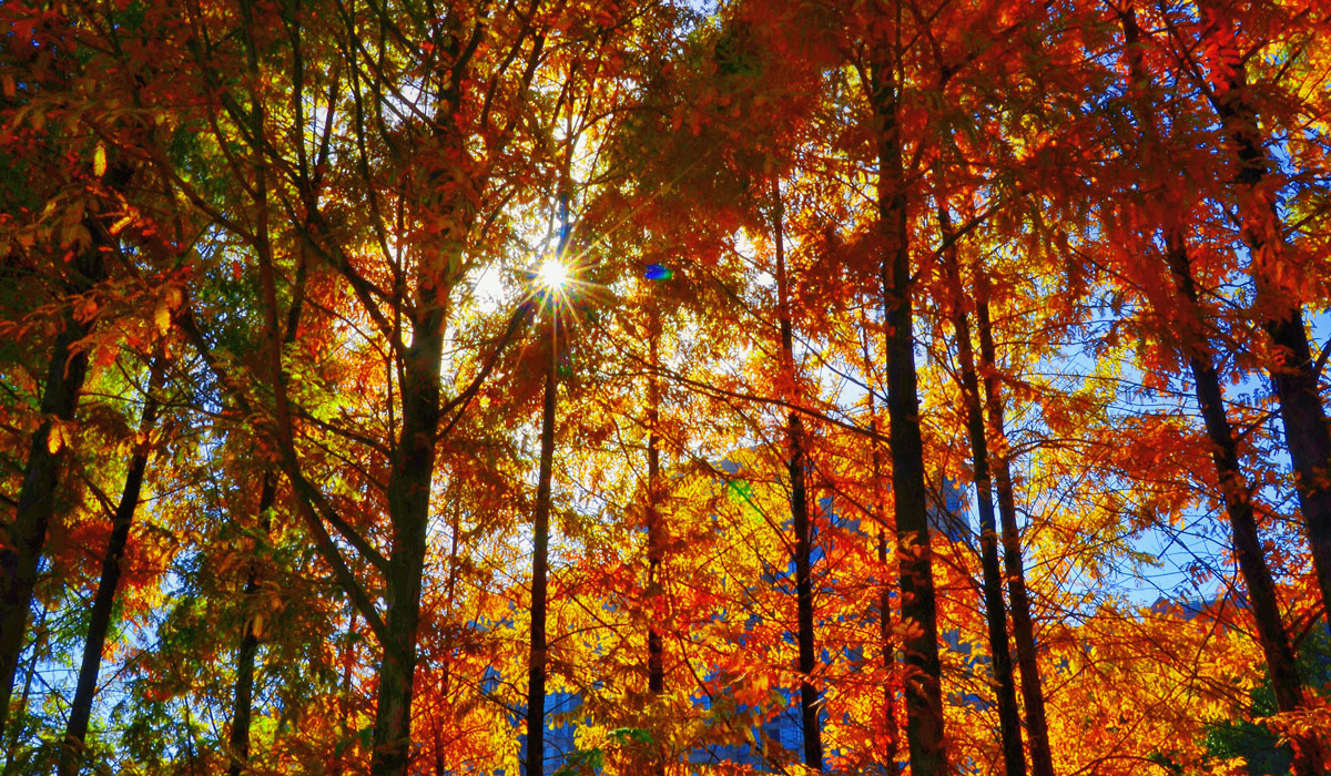 江西永新：禾河西路冬色如画